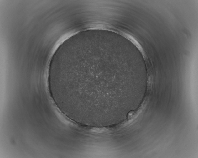 X0000113281146200909141220