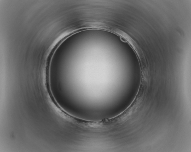 X0000113281147200909141220