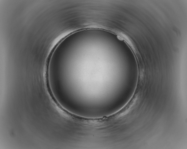 X0000113281149200909141220