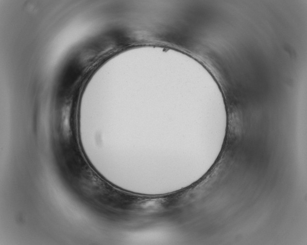 X0000113281150200909141220