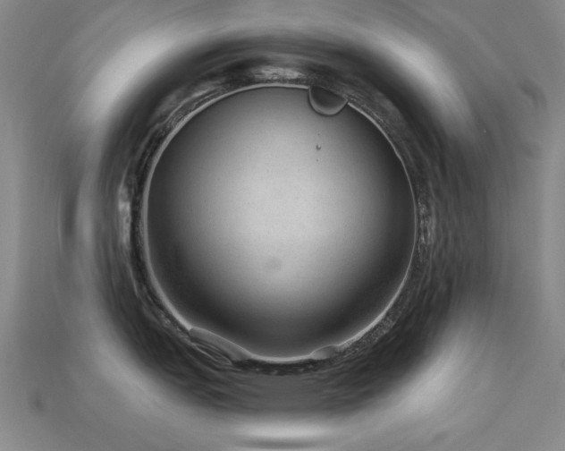 X0000113281151200909141220