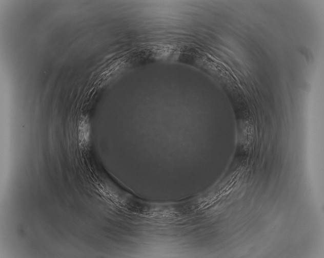 X0000113281154200909141219