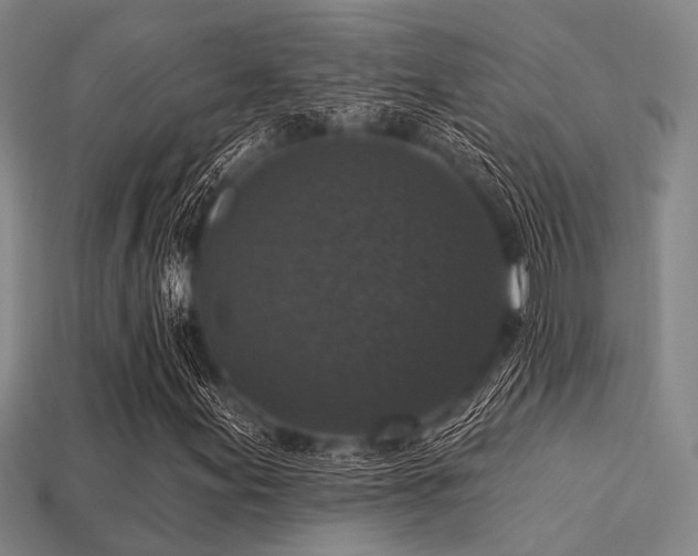 X0000113281155200909141219