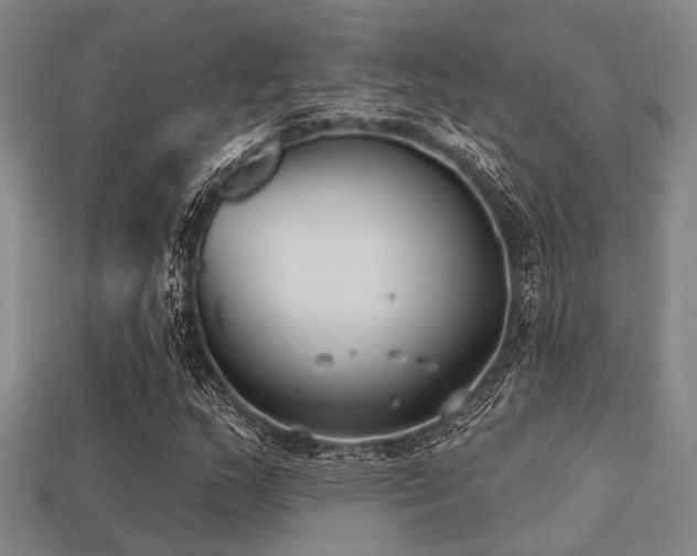 X0000113281159200909141219