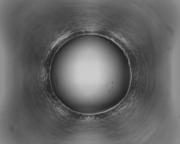 X0000113281160200909141219