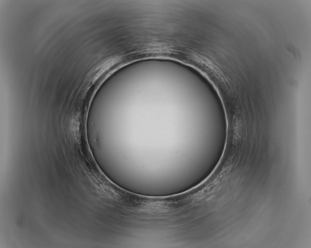 X0000113281162200909141219