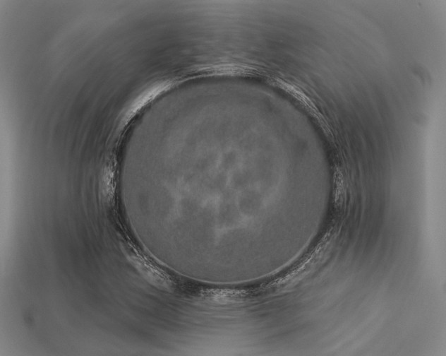 X0000113281163200909141219