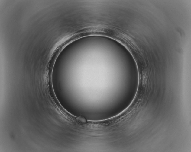 X0000113281164200909141219