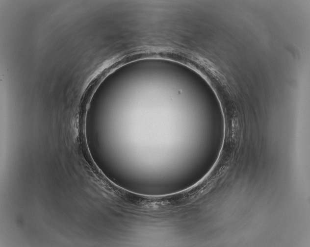 X0000113281165200909141219