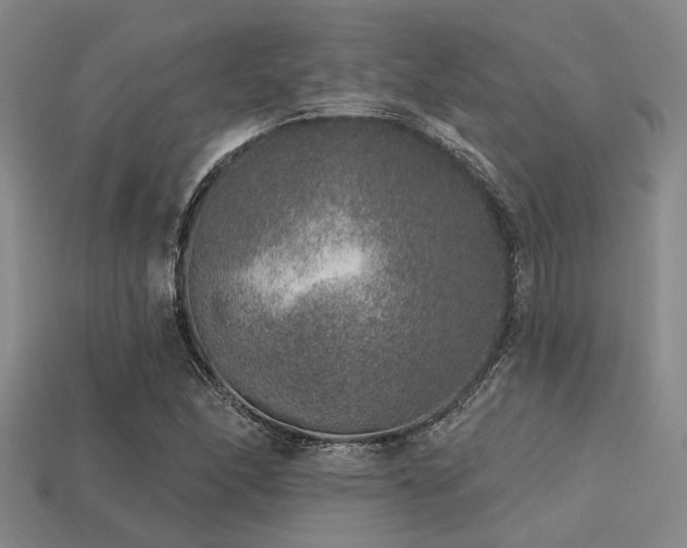 X0000113281166200909141219