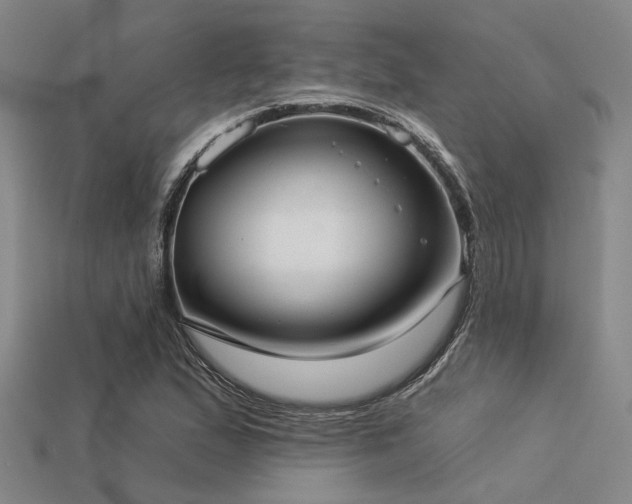 X0000113281167200909141219