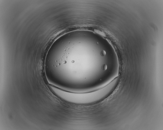 X0000113281169200909141219