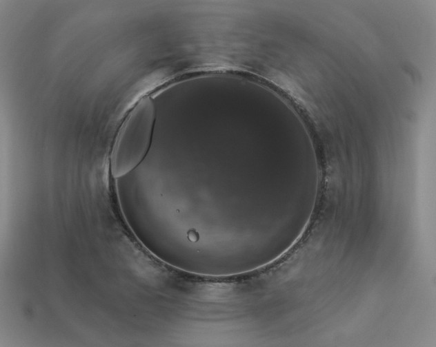 X0000113281173200909141219