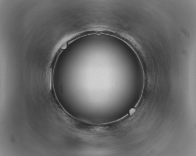 X0000113281175200909141219