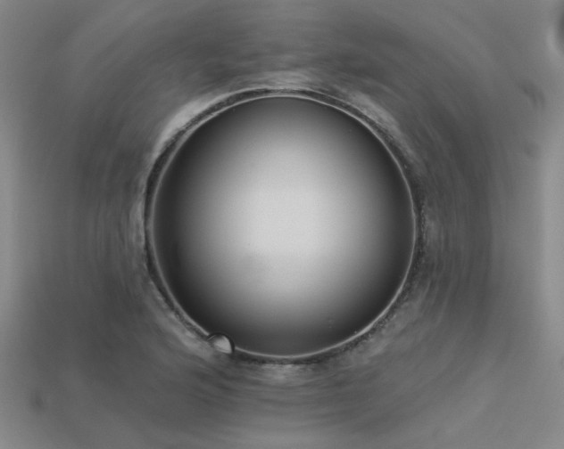 X0000113281176200909141219