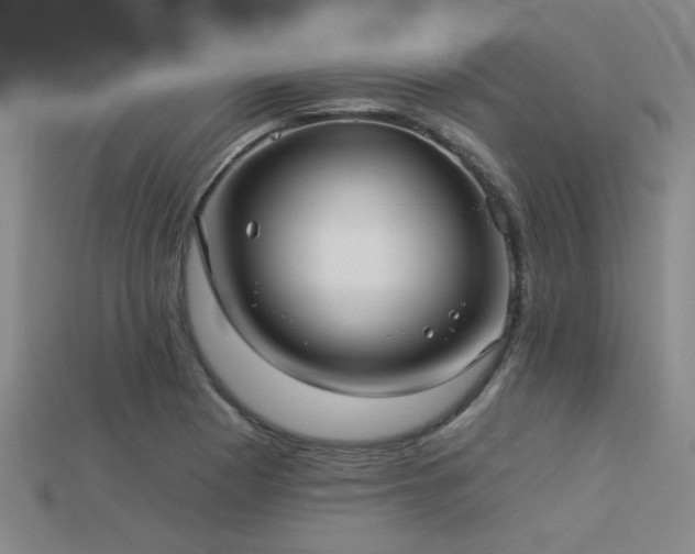 X0000113281177200909141219