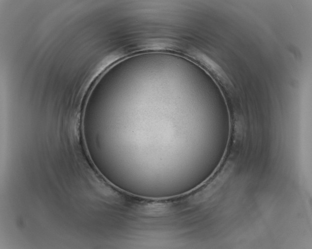 X0000113281178200909141219