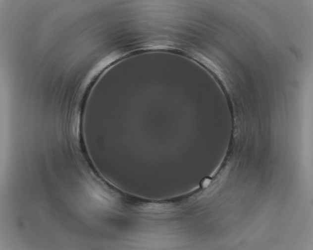 X0000113281179200909141219