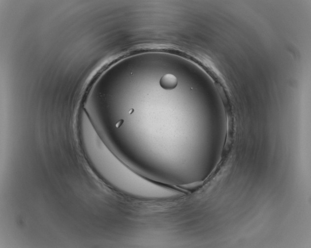 X0000113281181200909141219