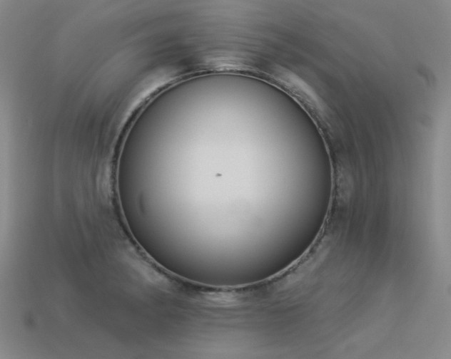 X0000113281182200909141219