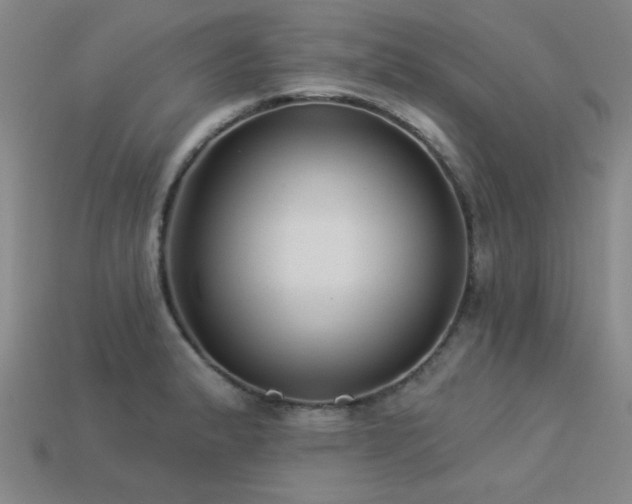 X0000113281183200909141219