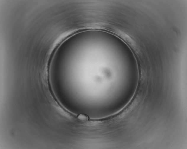 X0000113281184200909141219