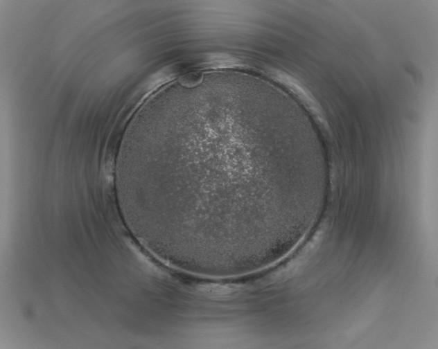 X0000113281185200909141219