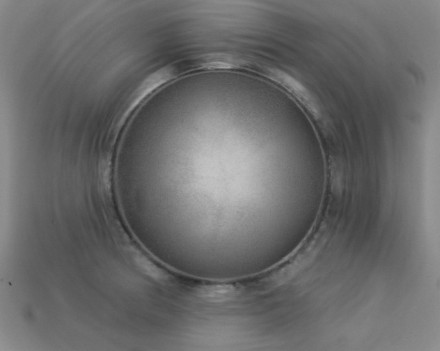 X0000113281186200909141219