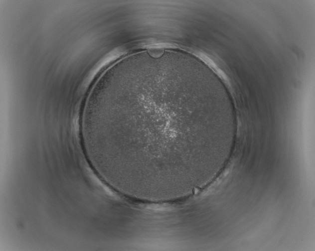 X0000113281189200909141219