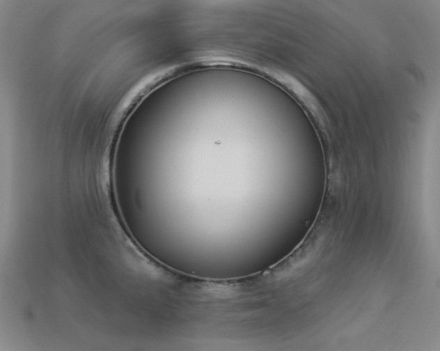 X0000113281191200909141219