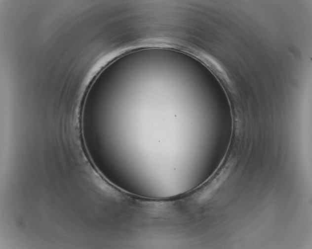 X0000113281192200909141219