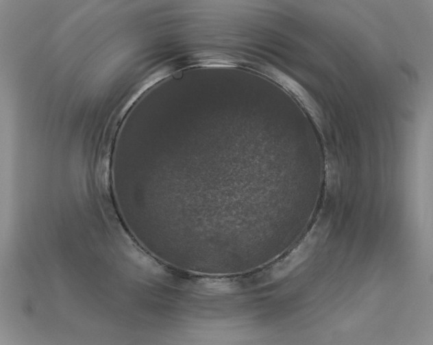 X0000113281194200909141219