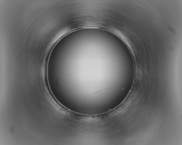 X0000113281195200909141219