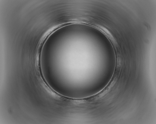 X0000113281196200909141219