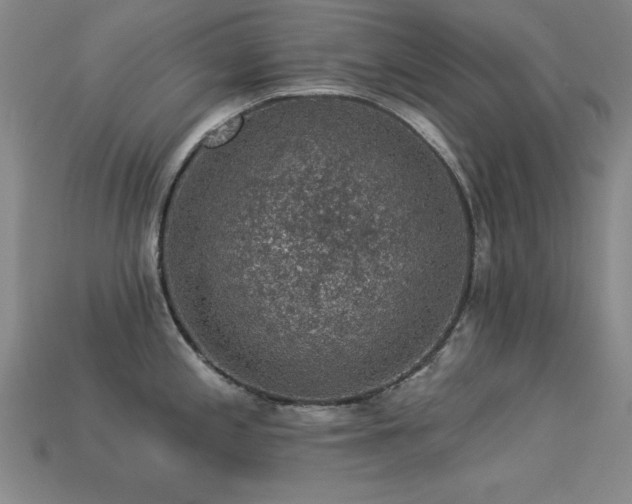 X0000113281197200909141218