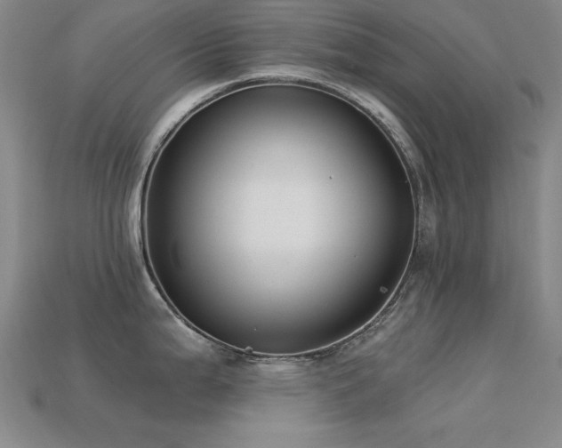 X0000113281199200909141218