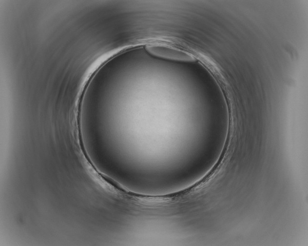 X0000113281200200909141218