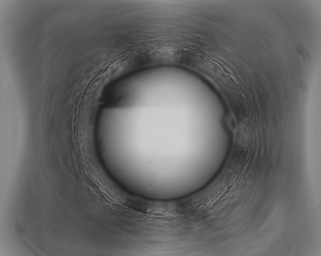 X0000113281201200909141218