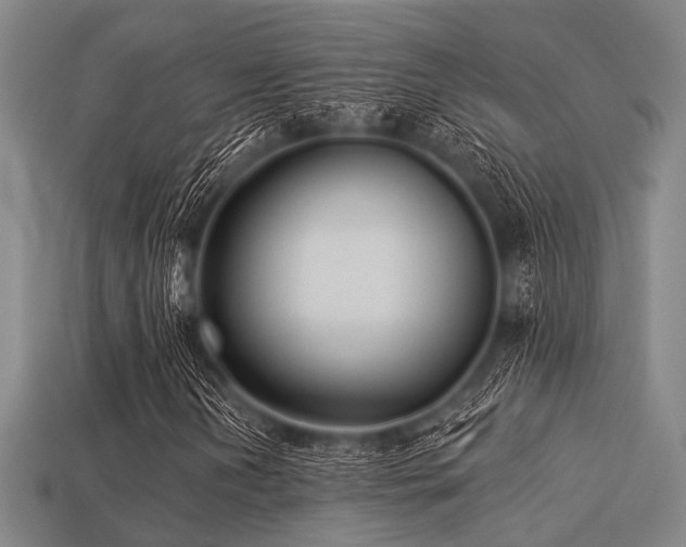 X0000113281202200909141218