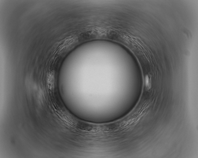 X0000113281203200909141218