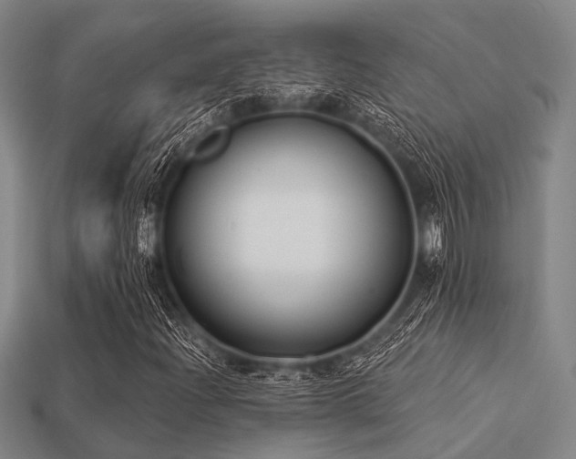 X0000113281204200909141218