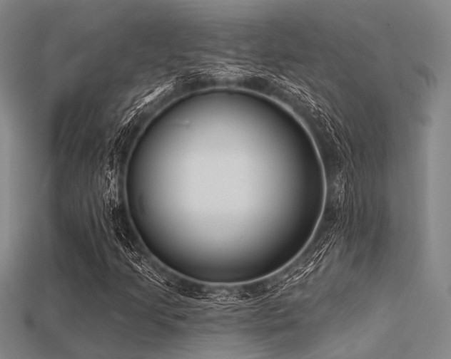 X0000113281205200909141218