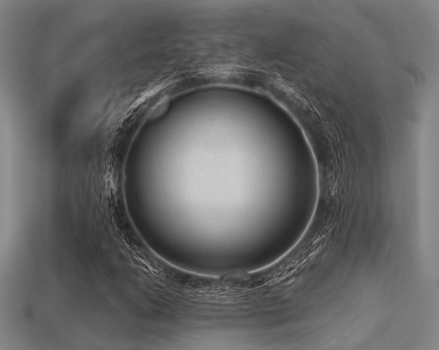 X0000113281206200909141218