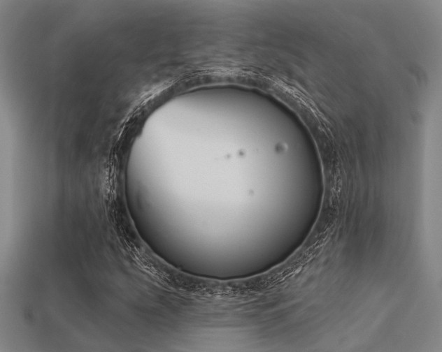 X0000113281207200909141218