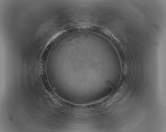 X0000113281208200909141218