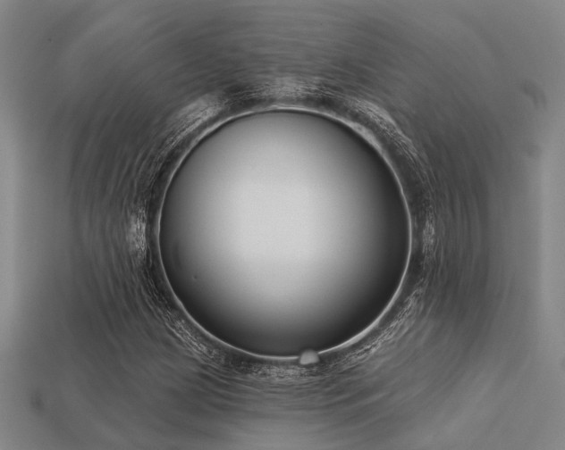 X0000113281209200909141218