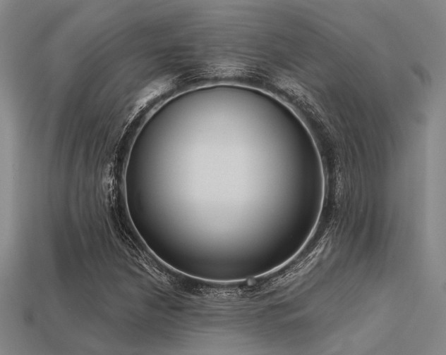 X0000113281210200909141218