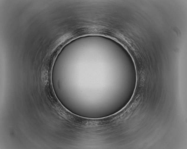 X0000113281211200909141218