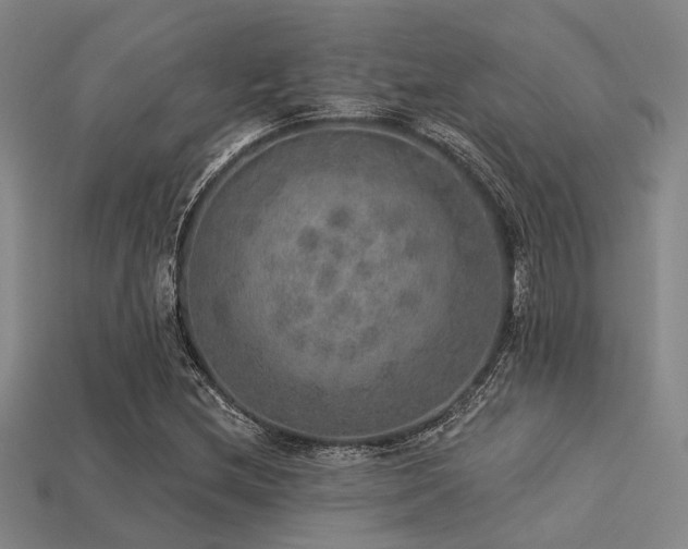 X0000113281212200909141218