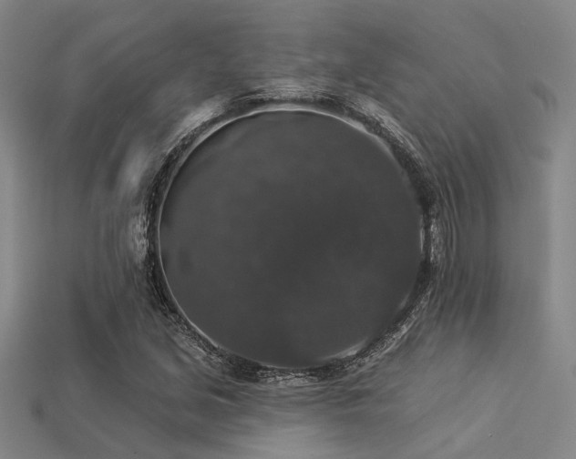 X0000113281213200909141218